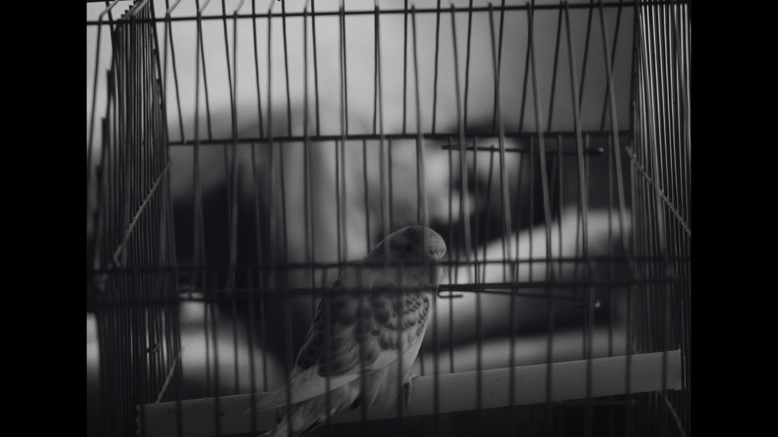 La distancia del Tiempo - 1